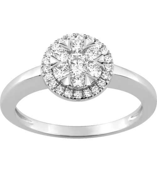 Pierres précieuse Or et montres Le Roy